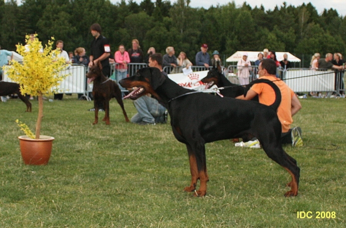 Hilo von Nemesis IDC 2009_1.JPG